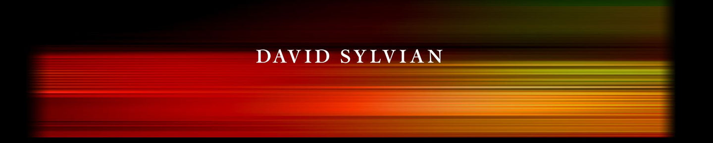 David Sylvian