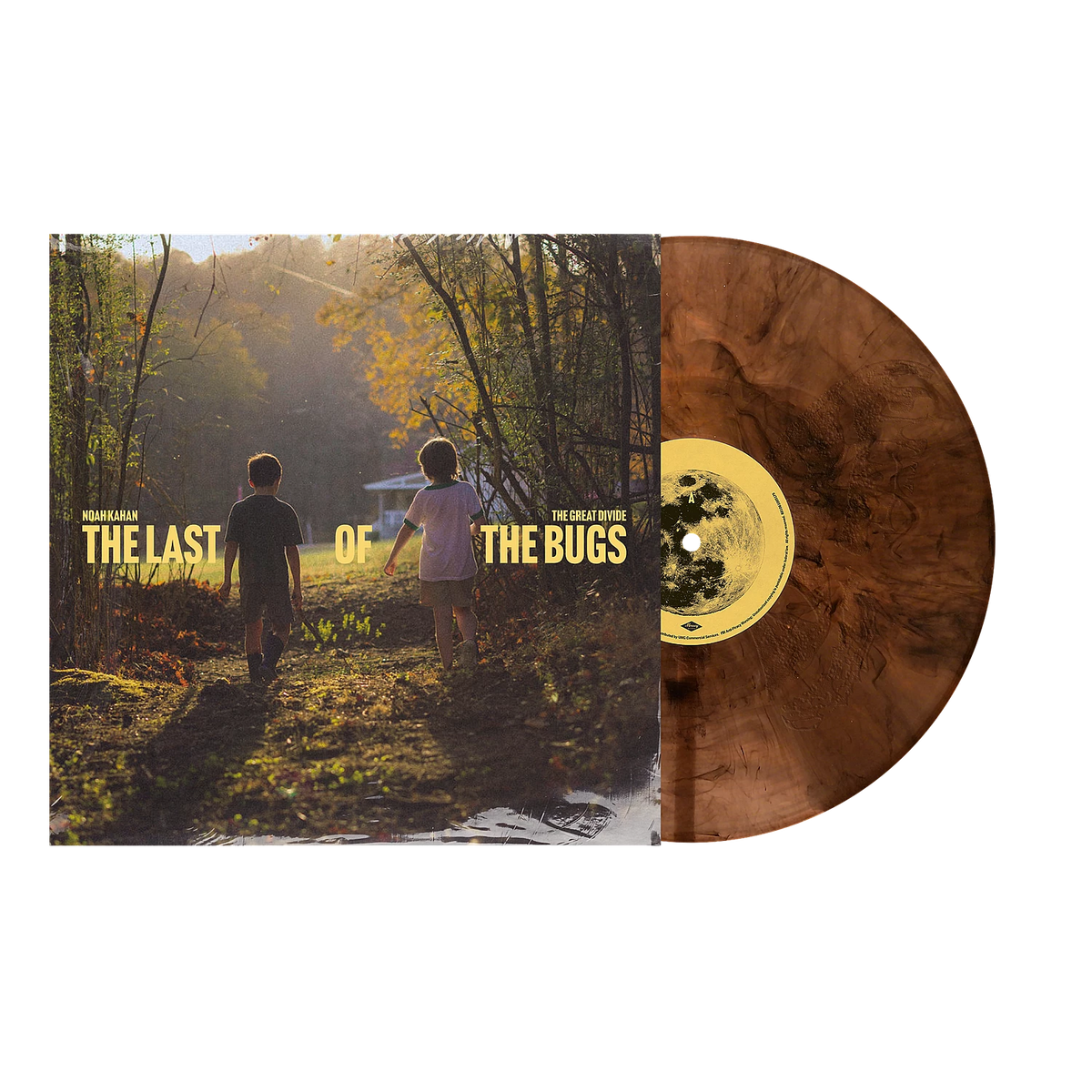 Koop The Last Of The Bugs 12" Vinyl van Noah Kahan