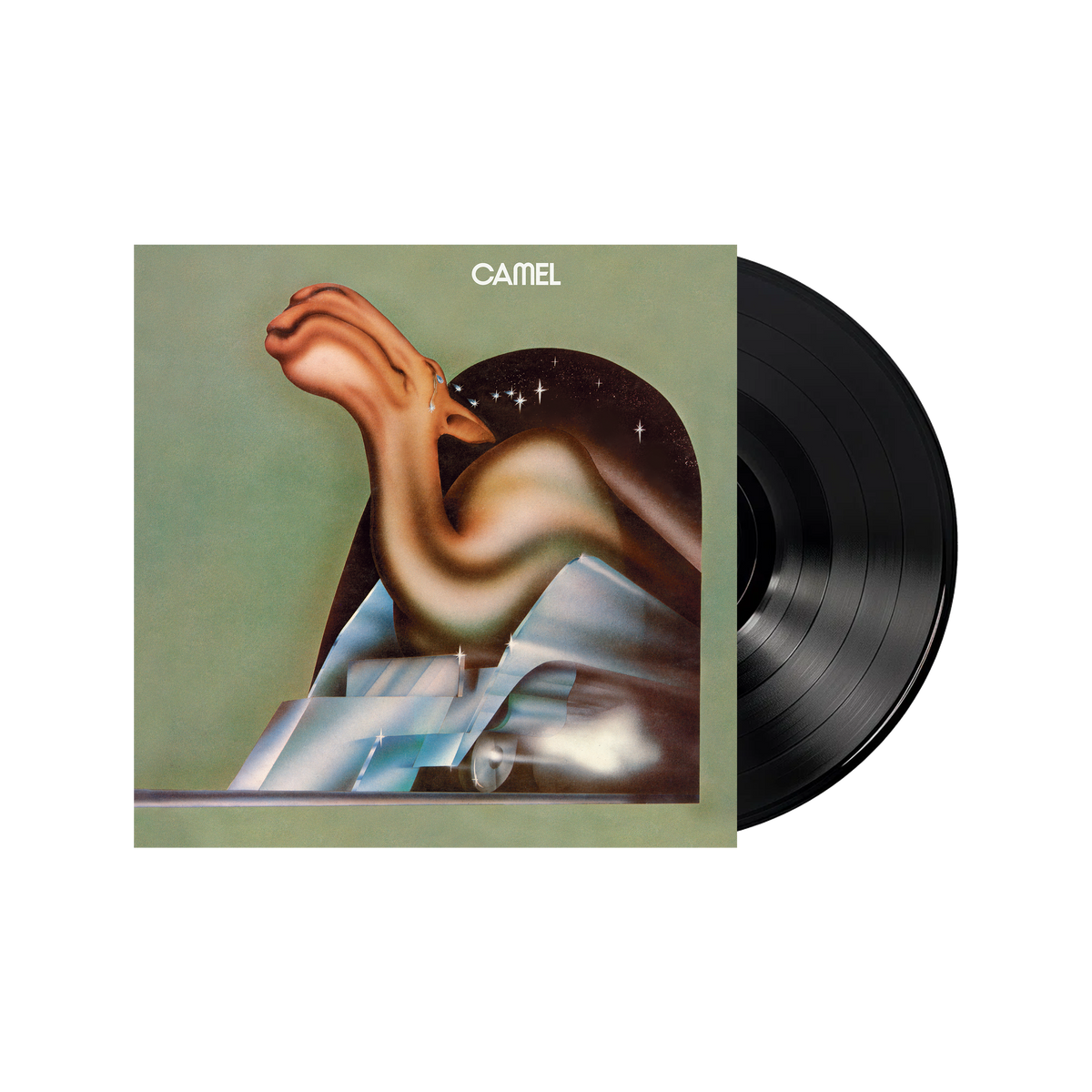 CAMEL_1200x1200.png?v=1696502718