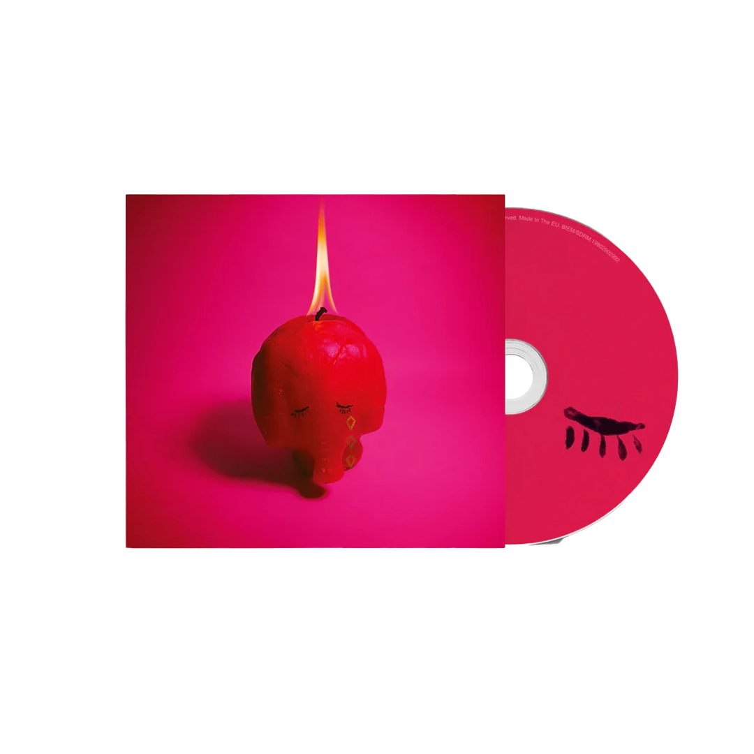 Pink Elephant (CD) - Arcade Fire | Platenzaak.nl