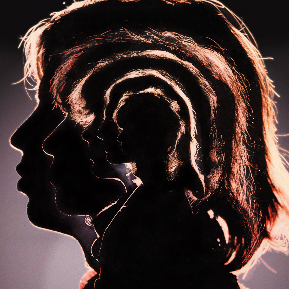 Hot Rocks (2LP) - The Rolling Stones | Platenzaak.nl
