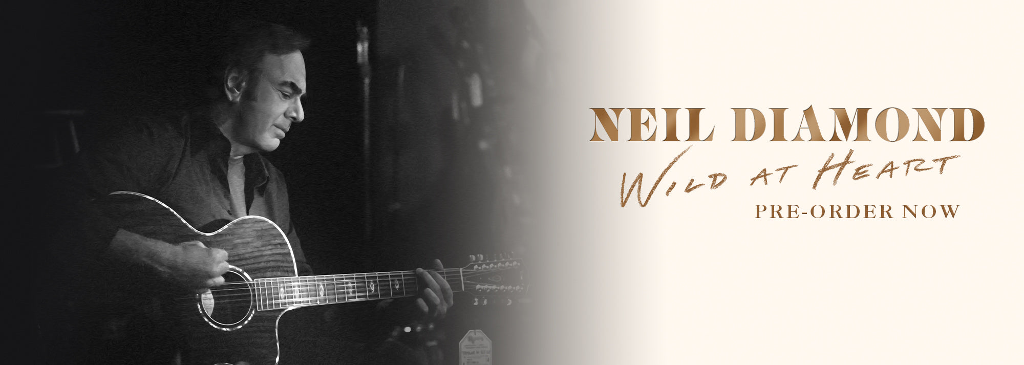 Everything from Neil Diamond | Platenzaak.nl