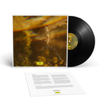Continuum II (LP)