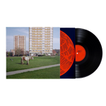 It Goes On (LP)