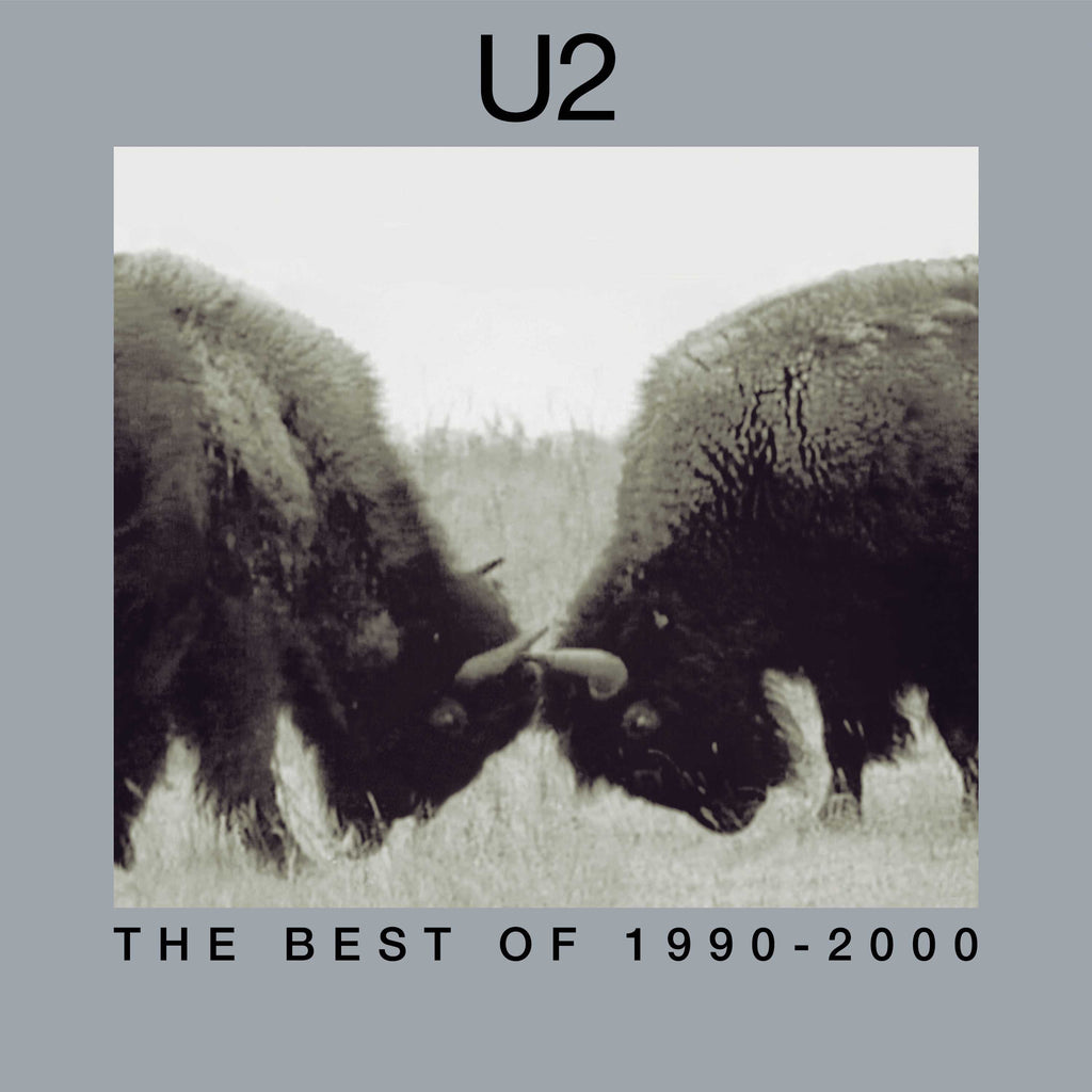 The Best Of 1990-2000 (2LP) - U2 | Platenzaak.nl