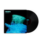 CELEBRATION - ECLIPSE VINYL