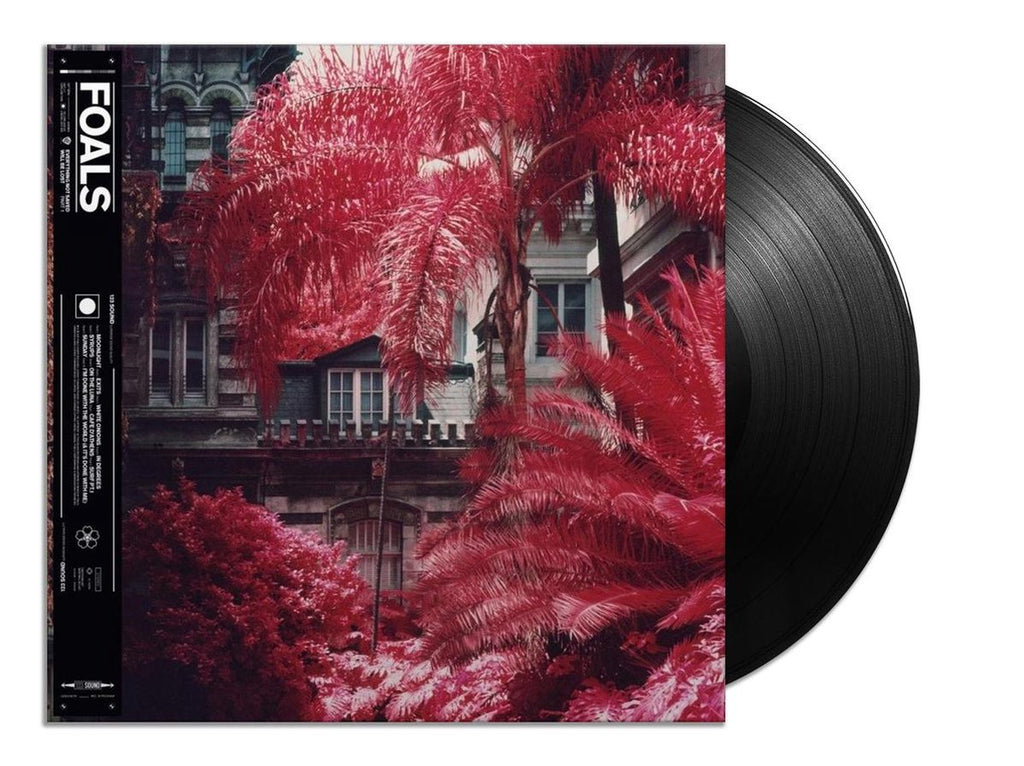 Everything Not Saved...Part I (2LP) - Foals - platenzaak.nl