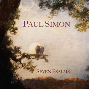 Paul Simon | Platenzaak.nl