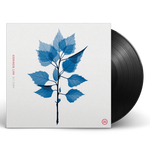 Get Sunk (LP)