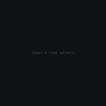 That's The Spirit (CD)