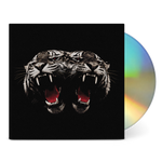 Dead Company (CD)