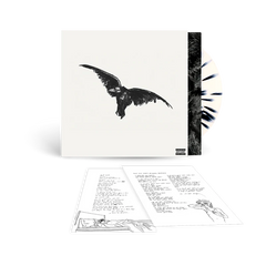 Kid Krow, Decomposed (5 Year Anniversary) - Conan Gray | Platenzaak.nl