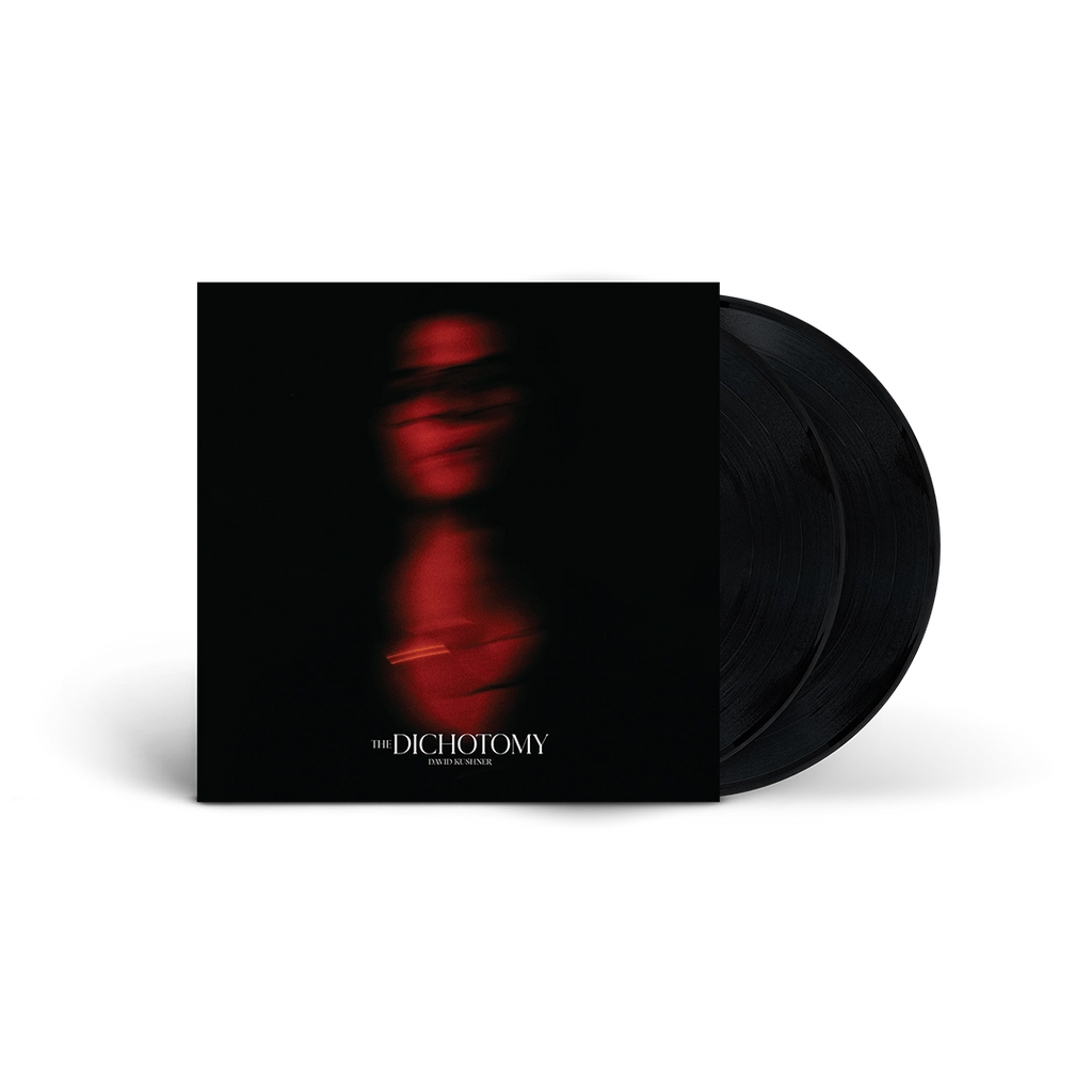 The Dichotomy (2LP) - David Kushner - platenzaak.nl