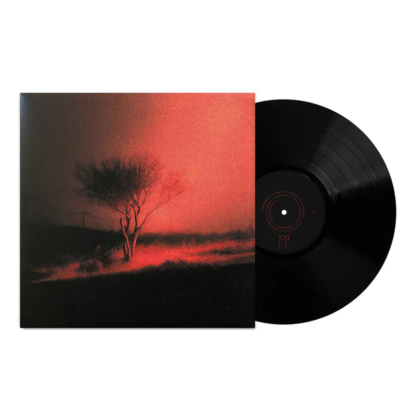 Joji piss in the wind 新品未開封　レコード　LP Piss In The Wind (LP) - Joji | Platenzaak.nl