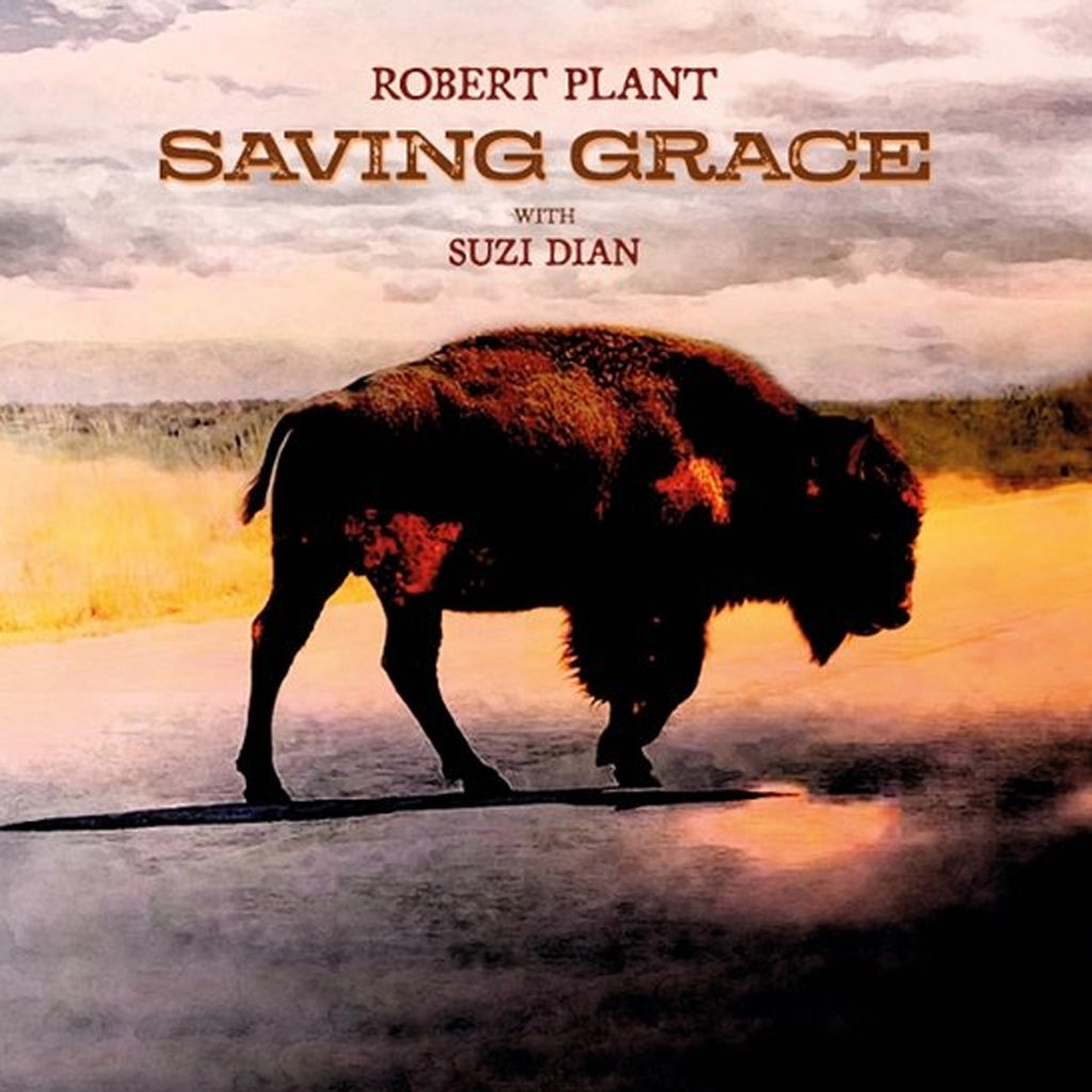 Saving Grace (LP) - Robert Plant - platenzaak.nl