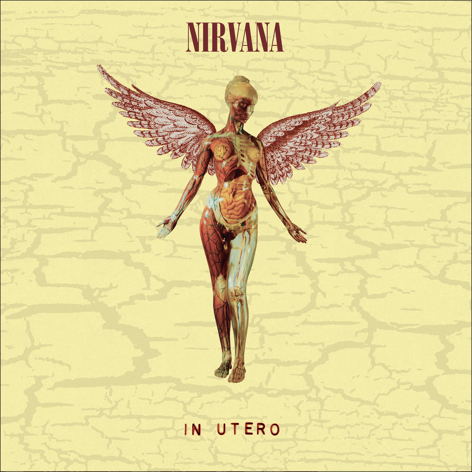 In Utero (30th Anniversary Super Deluxe 8LP) - Nirvana | Platenzaak.nl