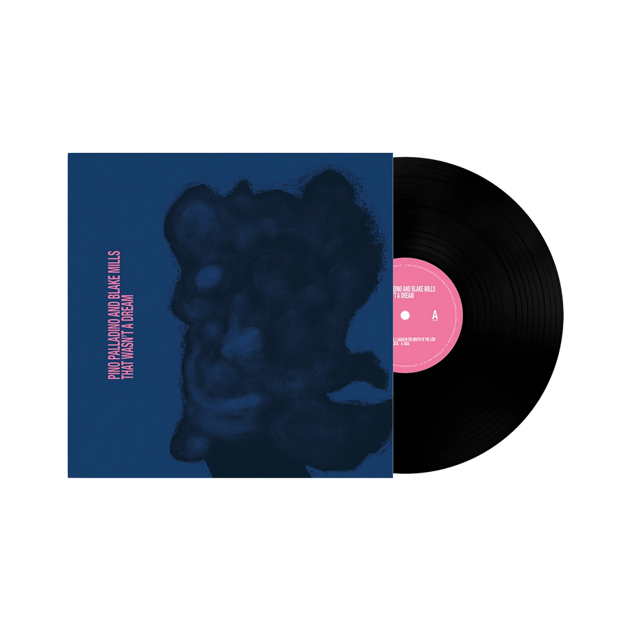 That Wasn't A Dream (LP) - Pino Palladino, Blake Mills