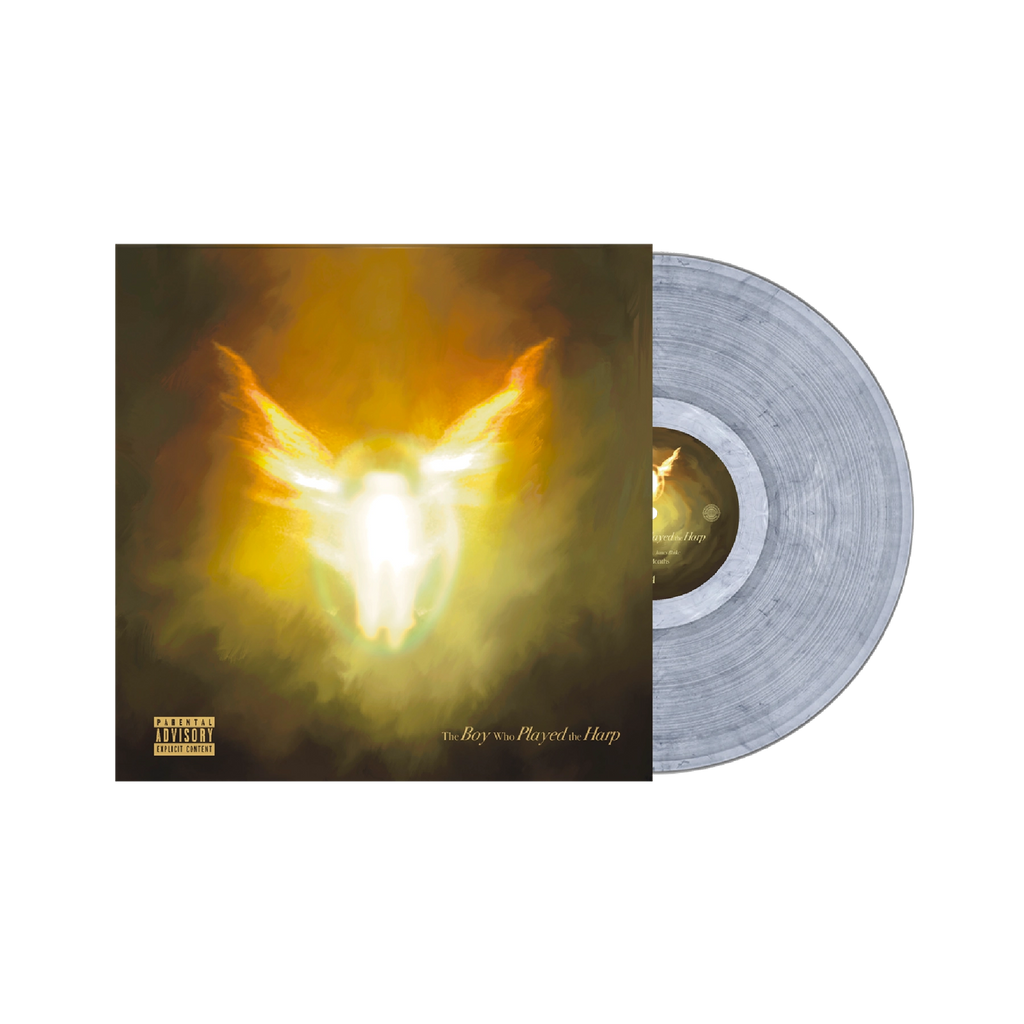 The Boy Who Played the Harp Exclusive Silver Marbled 2LP Vinyl - Dave - platenzaak.nl
