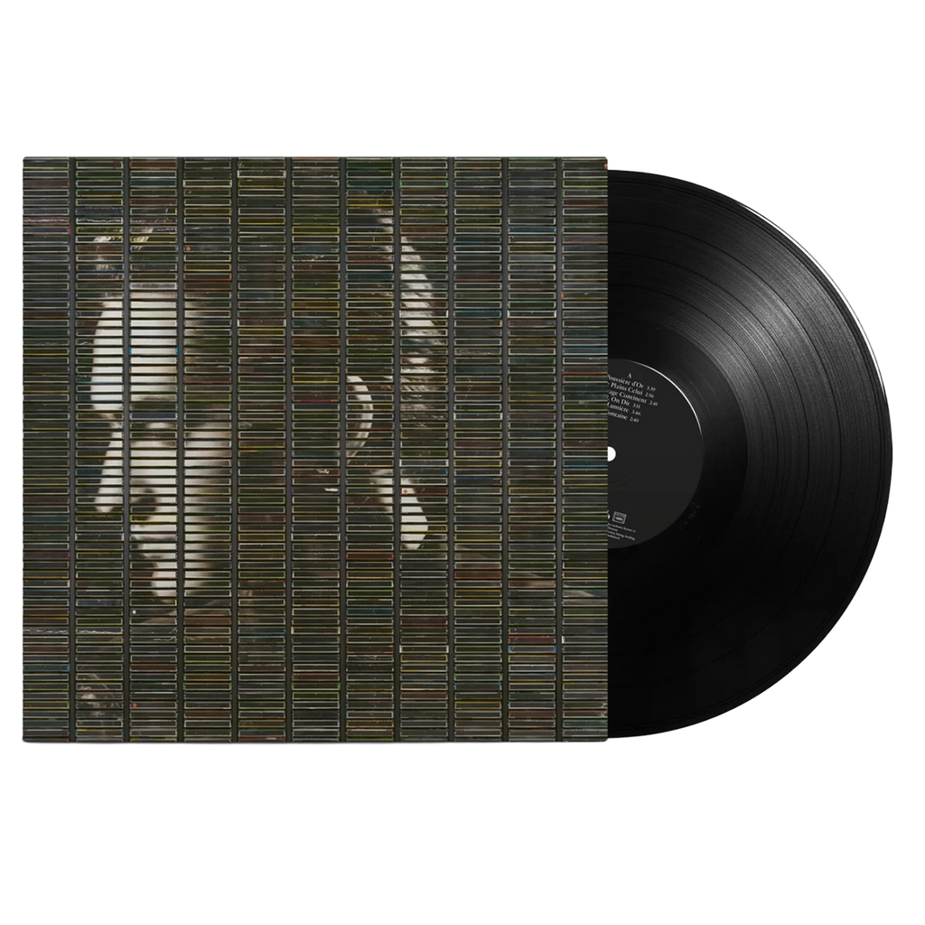Poussière D'Or (LP + CD) - Stephan Eicher - platenzaak.nl