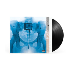 Virgin_Standard_LP_copy_120x@