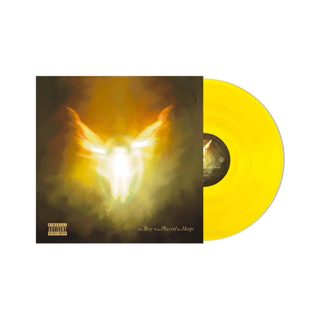 The Boy Who Played the Harp Yellow 2LP Vinyl - Dave - platenzaak.nl
