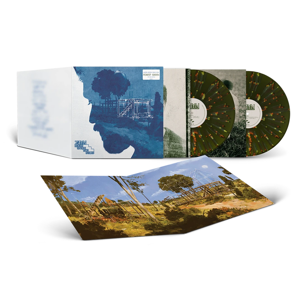 Room Under The Stairs 2LP - Zayn - platenzaak.nl
