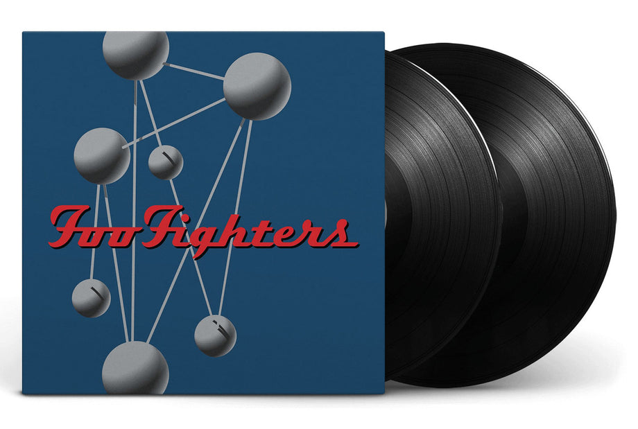 Colour And The Shape (2LP) - Foo Fighters | Platenzaak.nl