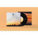 Dawn Chorus (LP)