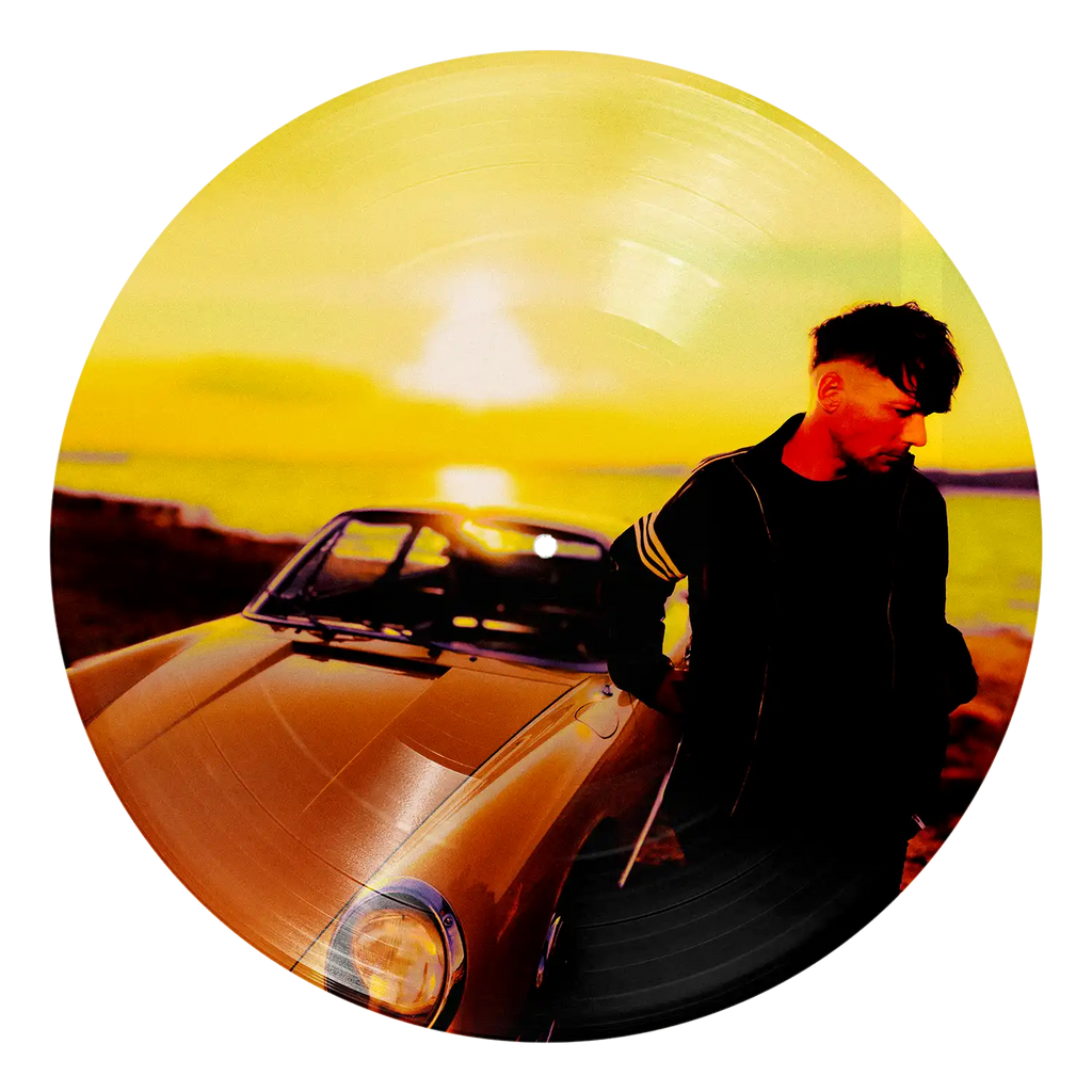 How Did I Get Here? Picture Disc - Louis Tomlinson - platenzaak.nl