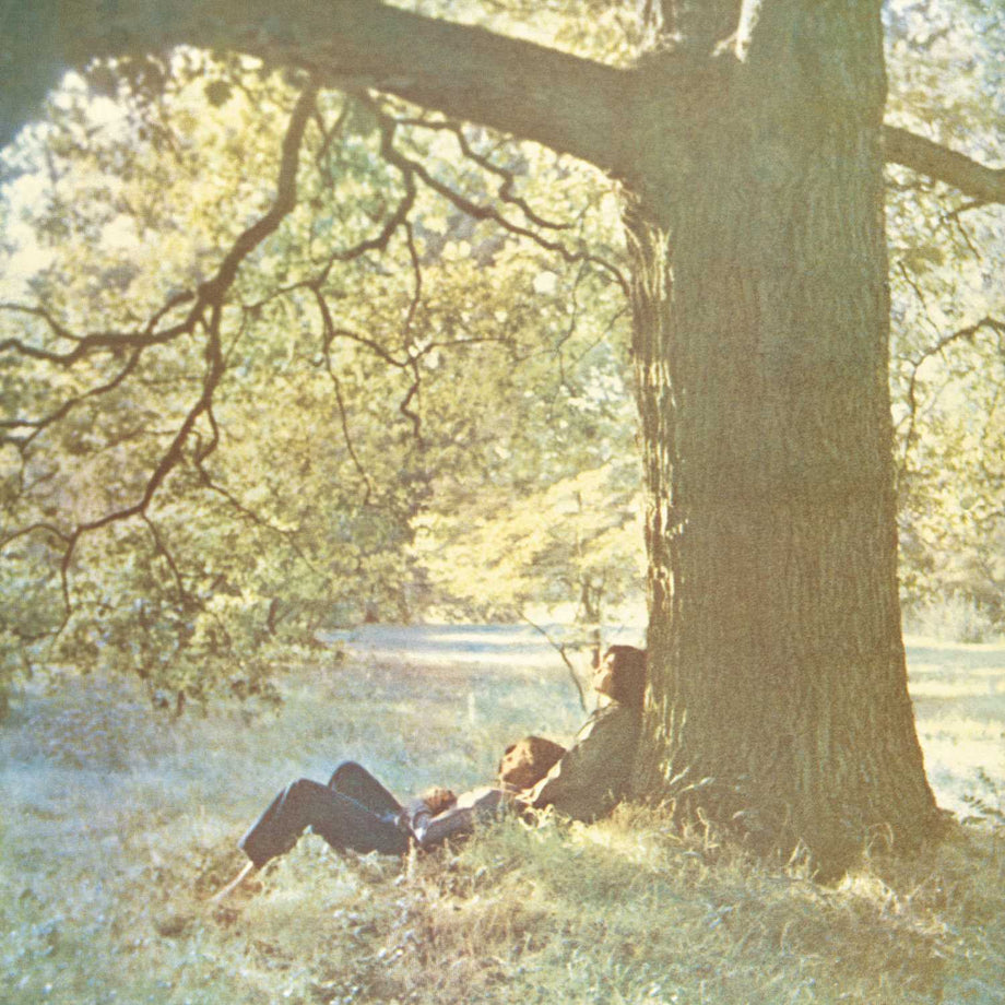 英LP John Lennon Plastic Ono Band Imagine Plastic Ono Band (LP) - John Lennon | Platenzaak.nl