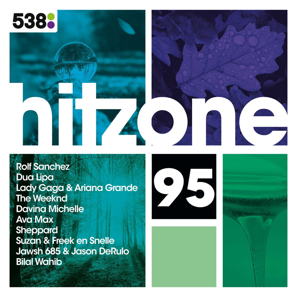 538 Hitzone 95  - Various Artists - platenzaak.nl