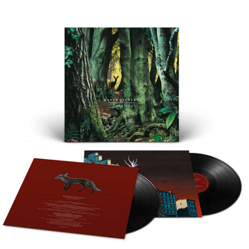 Everything from David Sylvian | Platenzaak.nl