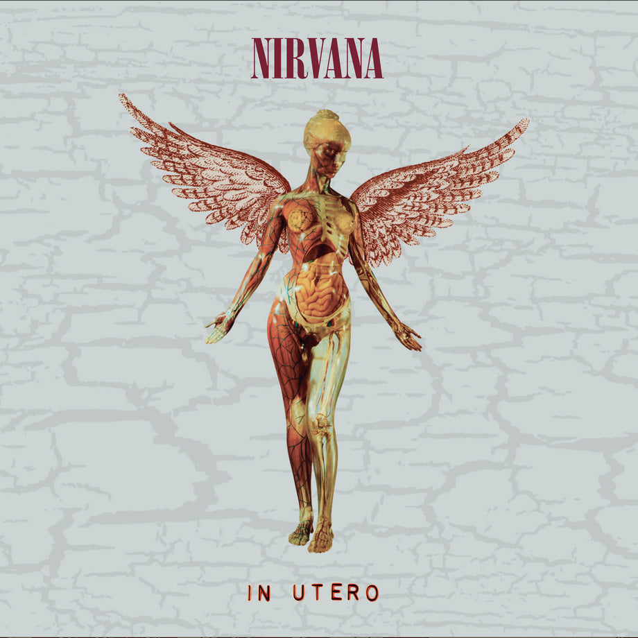 In Utero (30th Anniversary Deluxe 2CD) - Nirvana | Platenzaak.nl