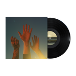 the record (LP)