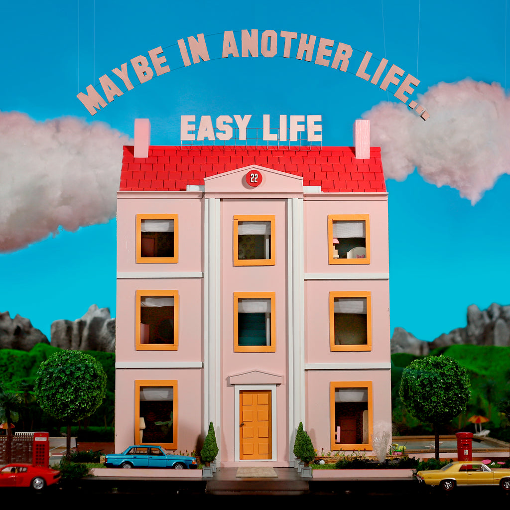 MAYBE IN ANOTHER LIFE... (CD) - Platenzaak.nl